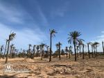 Terrain à vendre à Midoun Djerba