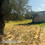 Terrain de 4000m2 70 DTle m² a foukaia chott meriem