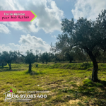 Terrain de 4000m2 70 DTle m² a foukaia chott meriem