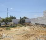 Terrain clôturé à Rmila