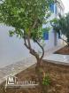 Villa S4 avec jardin à la Marsa réf 30 a