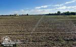 Terrain Agricole à vendre à Chorfech, Sidi Thabet
