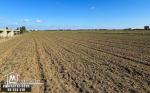 Terrain Agricole à vendre à Chorfech, Sidi Thabet