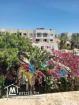 Bel appartement à vendre à Yasmine Hammamet 51355351