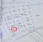 أرض صبغة سكنية للبيع في الحمامات الجنوبية 51355351