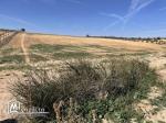 Terrain agricole  d'environ 5 hectare a coté de Bir Mchergua