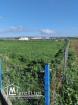 À vendre : Terrain de 2025 m²