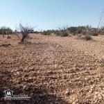 Terrain de 1282 m² à Hammamet Sud à vendre 51355351