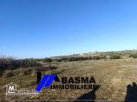 Un terrain agricole à vendre située kalaa kbira