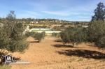 Terrain de 2500 m² à vendre à 270 MD à Hammamet Sud 51355351