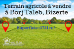 Terrain agricole titré à Borj Taleb Bizerte