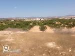 Terrain de 1000 m² à Hammamet Sud à vendre à 60 MD 51355351