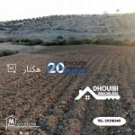 terrain Agricole 20 Hectares à Vendre a kairouan