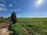 Terrain Agricole de 15.5 Hectares à Battan – Borj El Amri
