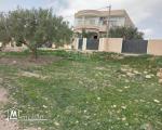 Deux lots de terrain à vendre à Hammamet Sud 51355351