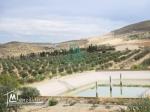 Ferme  de 18 Hectares à Zaghouan
