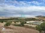 Ferme  de 18 Hectares à Zaghouan