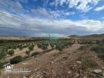 Ferme  de 18 Hectares à Zaghouan