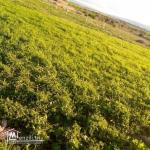 Terrain à vendre de 2000 m2