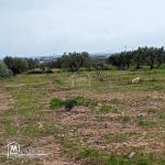 Terrain de 2700 m² à Hammamet Sud à vendre à 200 MD 51355351
