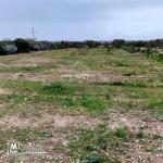 Terrain de 2700 m² à Hammamet Sud à vendre à 200 MD 51355351