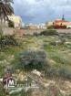 A VENDRE terrain situé à Chat Mariem