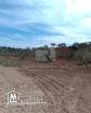 A vendre des terrains agricoles situé à Kalaa  Kbira