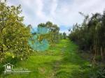 A Vendre Ferme Agricole à Bir Drassen Nabeul