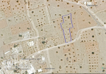 Terrain 2260 m2 à Menzel BEN HAMMOUDA -   منزل بن حمودة Jaabira- Djerba.