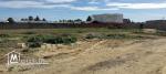 Lots de Terrain à Bejaoua 1 Oued-Ellil