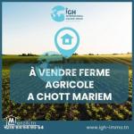 A VENDRE FERME A CHOTT MARIEM AVEC UNE MAISON arabesque