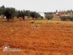 Terrain à vendre à 200 dt/m² à Hammamet Sud 51355351