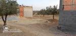 Un terrain de 130 m² à vendre à Hammamet Sud 51355351