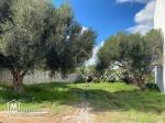 Lot de terrain de 250 m² à Hammamet à vendre 51355351