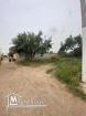 Lot de terrain de 250 m² à Hammamet à vendre 51355351
