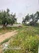Lot de terrain de 250 m² à Hammamet à vendre 51355351