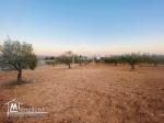 Terrain de 1000 m² à vendre à 200 MD à Hammamet Sud 51355351