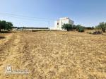 Lot de terrain de 200 m² à Hammamet Sud à vendre 51355351