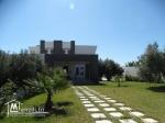 V341 Villa Chloé  SUD HAMMAMET