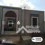 سانية 6 هكتارات للبيع بالقيروان – ferme 6 hectar a vendre a kairouan