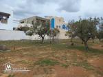 Terrain de 250 m² à Hammamet Nord à vendre 51355351
