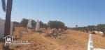 Grand Terrain vue sur mer  à Aghir Djerba Titre bleu