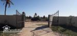 Grand Terrain vue sur mer  à Aghir Djerba Titre bleu