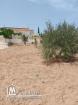 ارض بها اشجار زيتون وصالحة للبناء  جرجيس