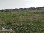 Un terrain de 669 m² à Maamoura à vendre 51355351
