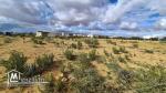 Terrain de 959 m² à Bouzeguem, Kasserine