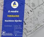 Terrains à vendre à Hachen Djerba