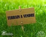 Deux terrains Riadh Landalous