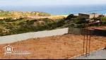 Terrain bizerte kef abbed