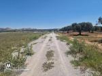 Terrain de 4000 m² à vendre à 100 MD à Hammamet Sud 51355351